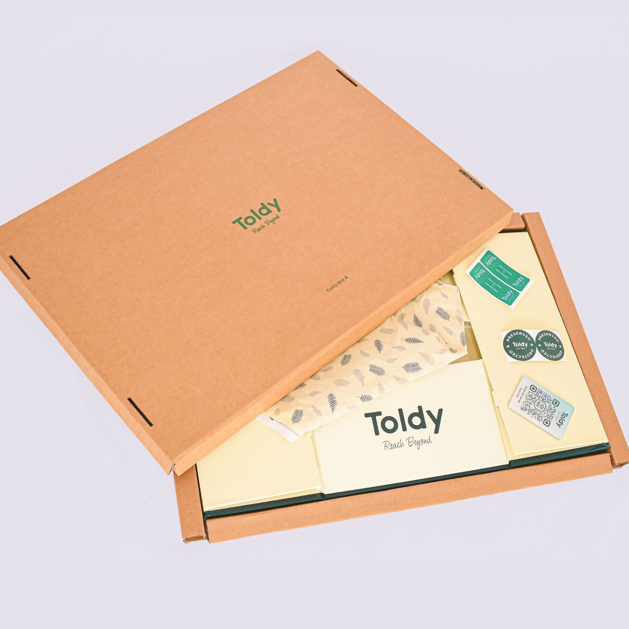 Toldy Box